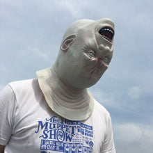 Load image into Gallery viewer, Halloween   Mask