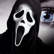 Load image into Gallery viewer, Horror Party Mask