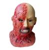 Load image into Gallery viewer, Halloween Mask